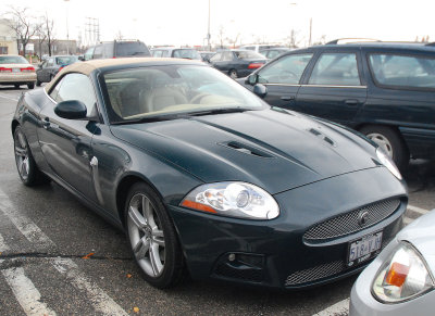 Jaguar XK-R