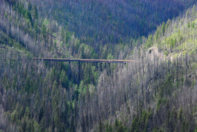 Myra Canyon Trestles Hike