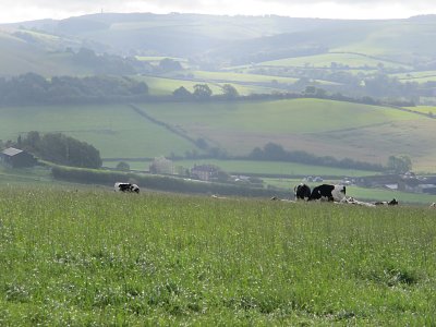 Bride Valley 2010, looking south-east