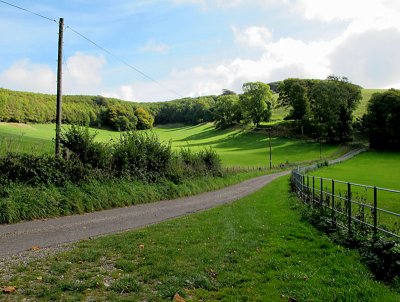 Valley road near Littlebredy