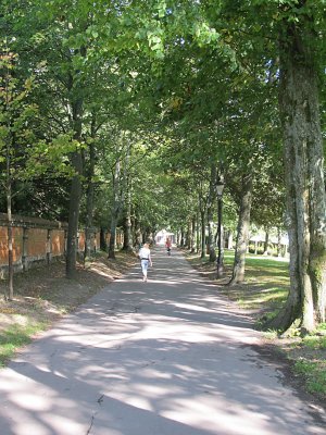 South Walk, Dorchester, Dorset