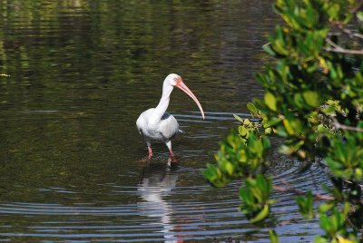 Caspersen Beach Park, Venice, Florida