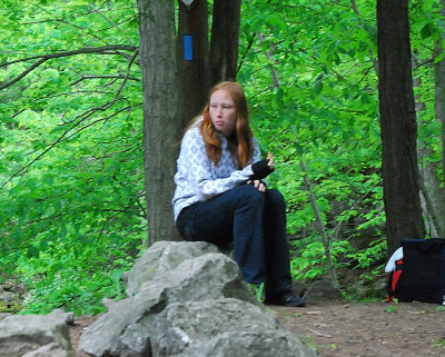 In the Woods