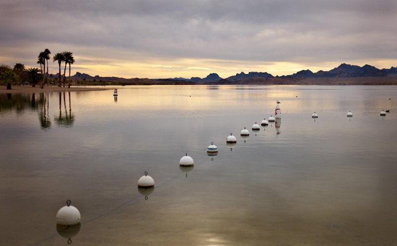 Lake Havasu morning