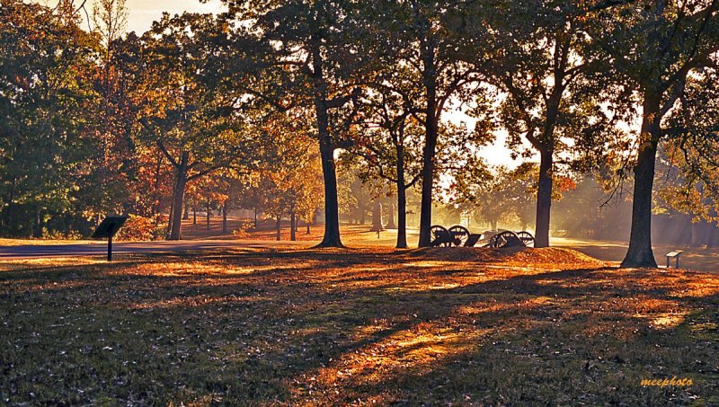 An Autumn Morning