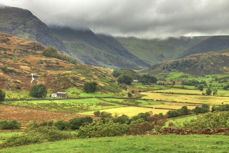 Lonely Farmhouses