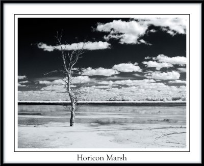 Horicon Marsh