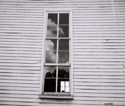 Shady Window