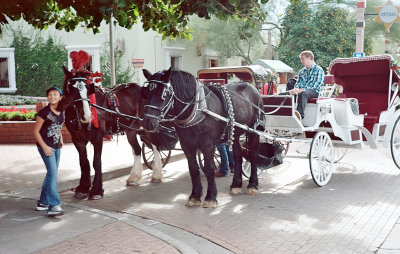 Want a carriage ride?