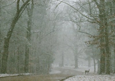 Alone in the Storm