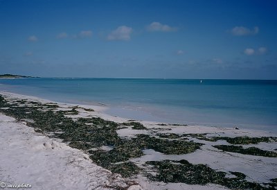 The Beach at Bahia Honda