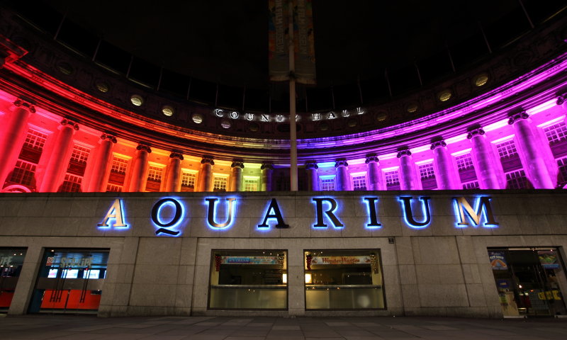 London Aquarium