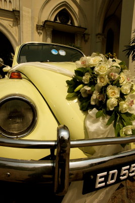 Wedding bug
