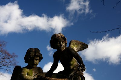 Cherubs