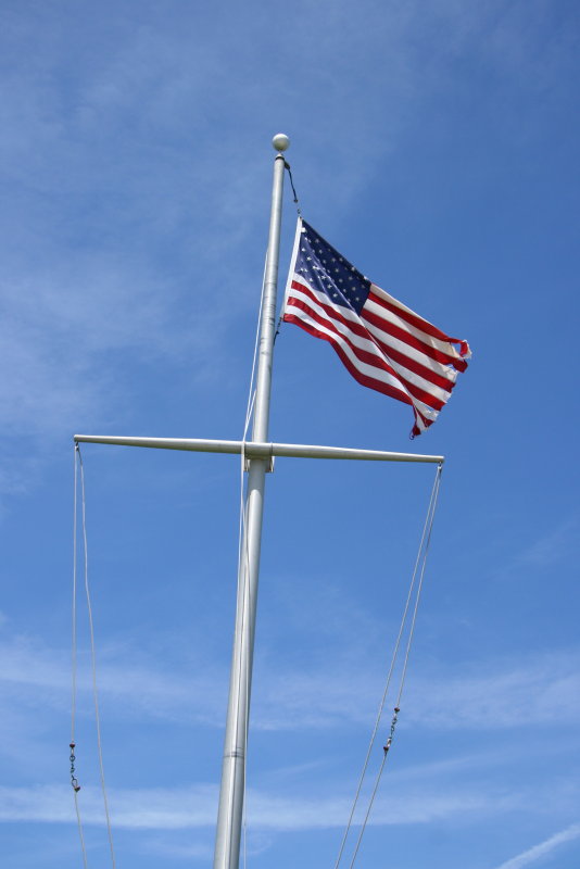 the flag.jpg