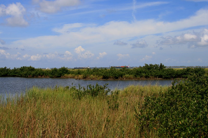 MARSHLAND