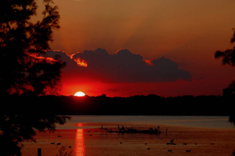 SCAVENGER HUNT SUNSET