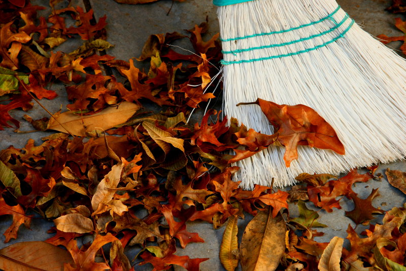DONT SWEEP THE LEAVES
