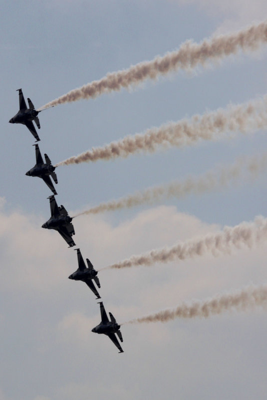 LINED UP SILHOUETTES