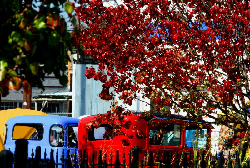 ANTIQUE AUTUMN
