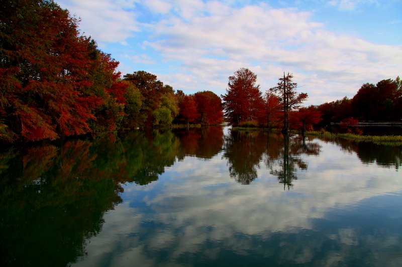 GUADALUPE RIVER REFLECTIONS