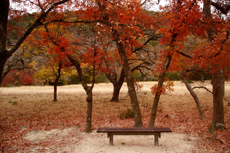 SIT DOWN AND ENJOY THE VIEW