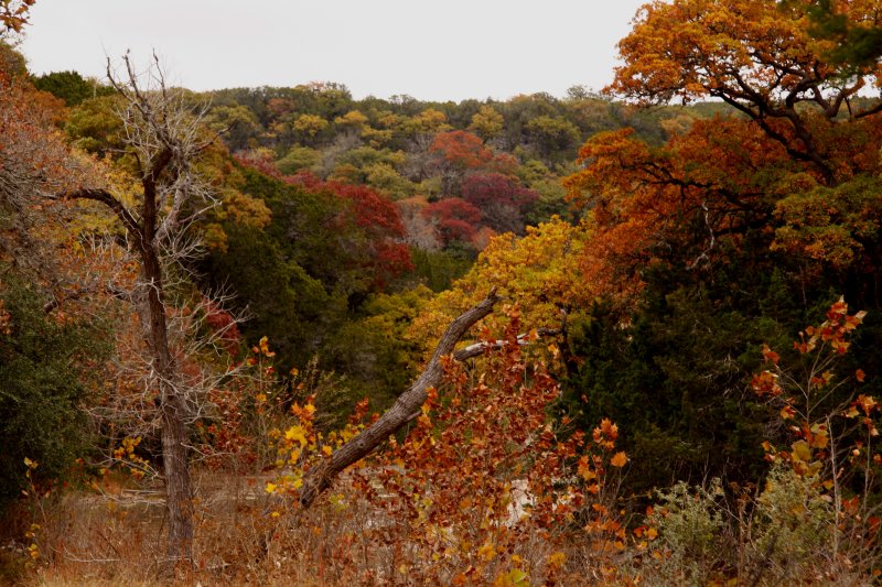 COLOR IN THE HILLS