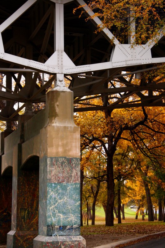 TREES UNDER BRIDGE