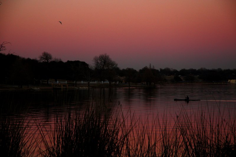 LONE ROWER ON THE LAKE