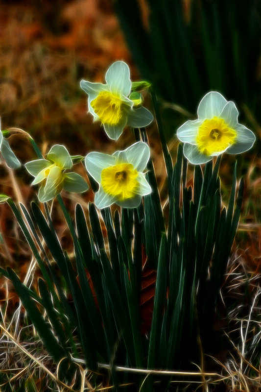 SIGNS OF SPRING