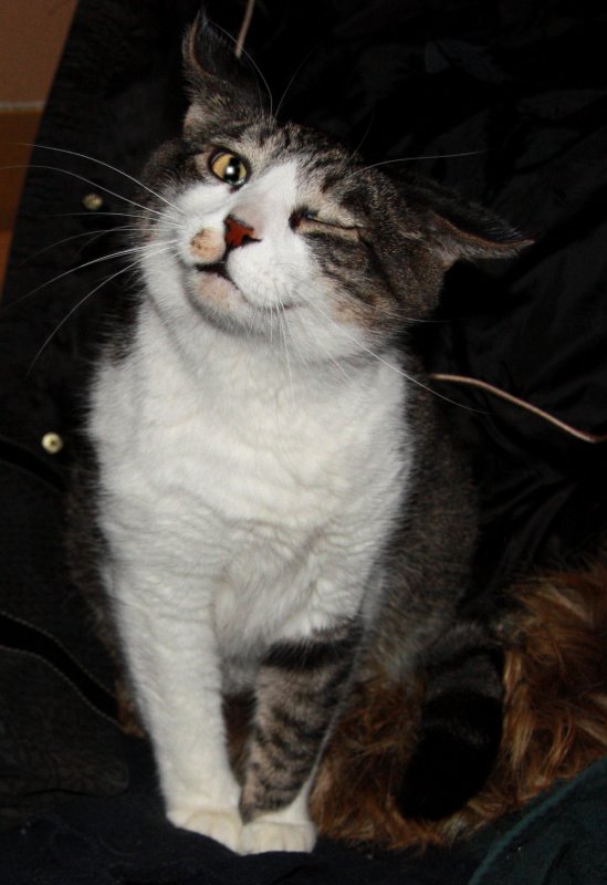 ZEKE WINKING AT ME