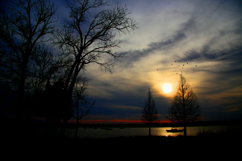 DAYS LAST LIGHT
