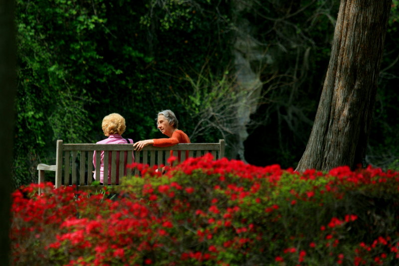 TWO LADIES IN THE PARK