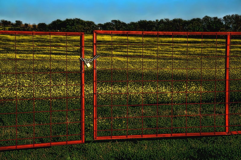 BEHIND THE RED GATE