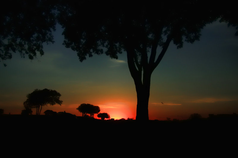 LAST NIGHTS SUNSET