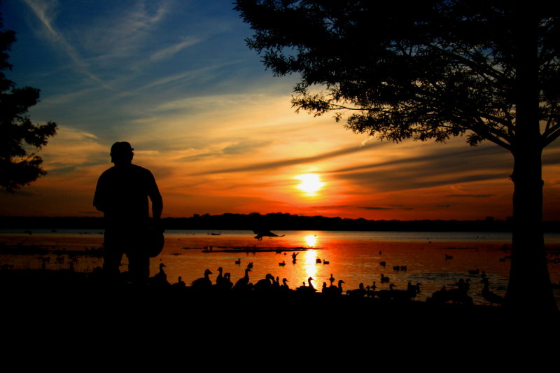 CHARLIE FEEDING THE DUCKS AT SUNSET