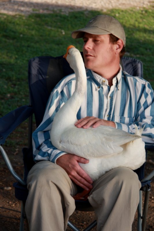 IF YOU SIT IN MY CHAIR ILL SIT ON YOUR LAP