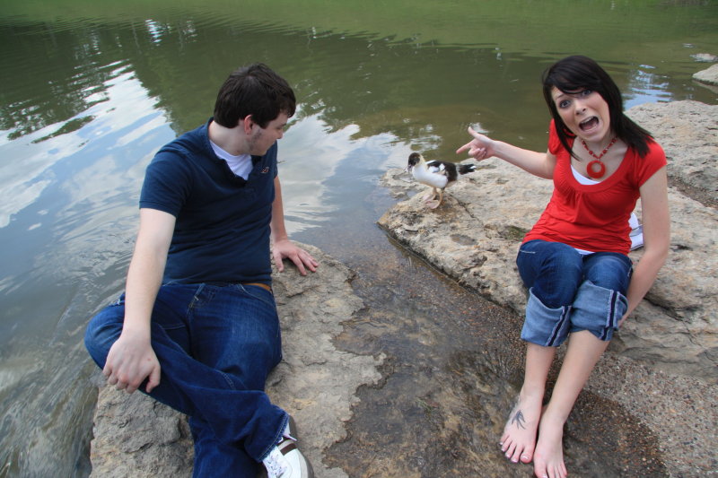 LOOK!!  A DUCK