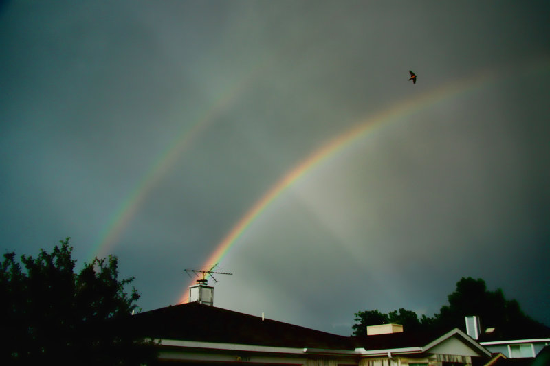 DOUBLE RAINBOW