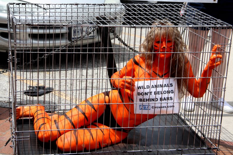 STEEL CAGE