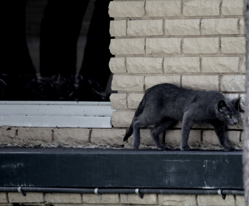 WALKING A METAL LEDGE