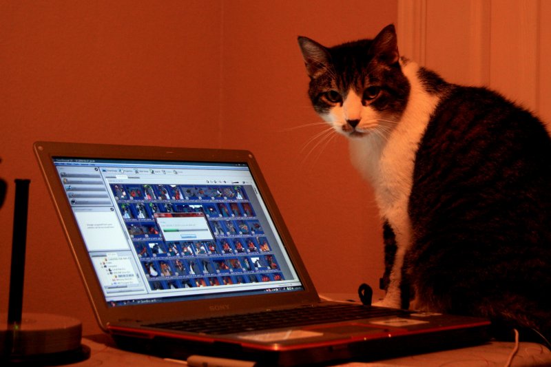 ZEKE HELPING ME BURN CDs