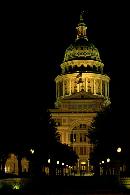 TEXAS STATE CAPITAL