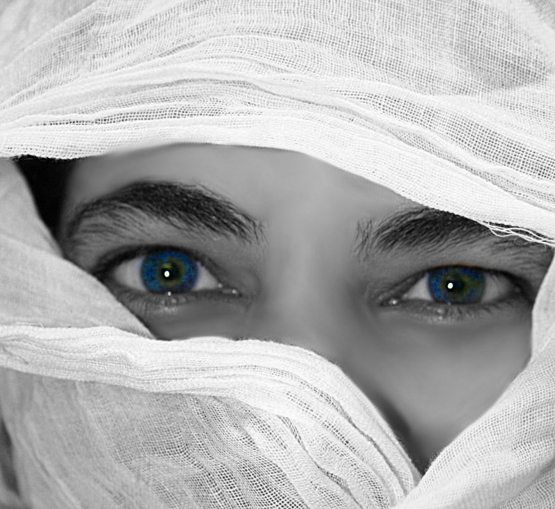SECLUDED EYES