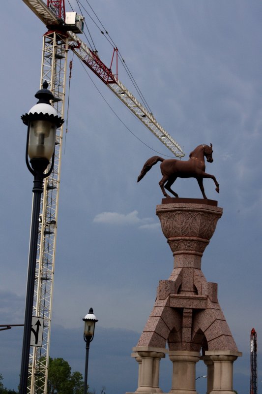 TRANSPORTING A HORSE??