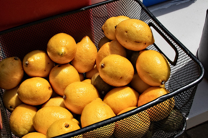 WHEN LIFE GIVES YOU LEMONS......