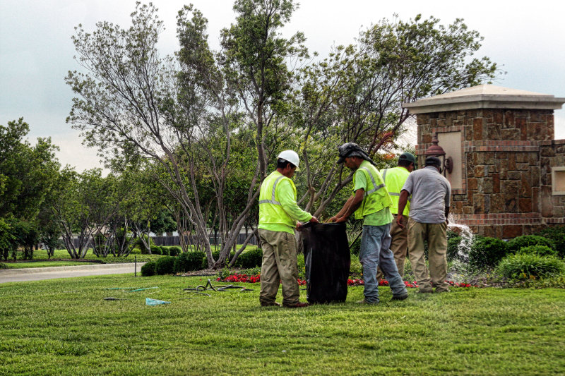 MAINTAINING THE LANDSCAPE