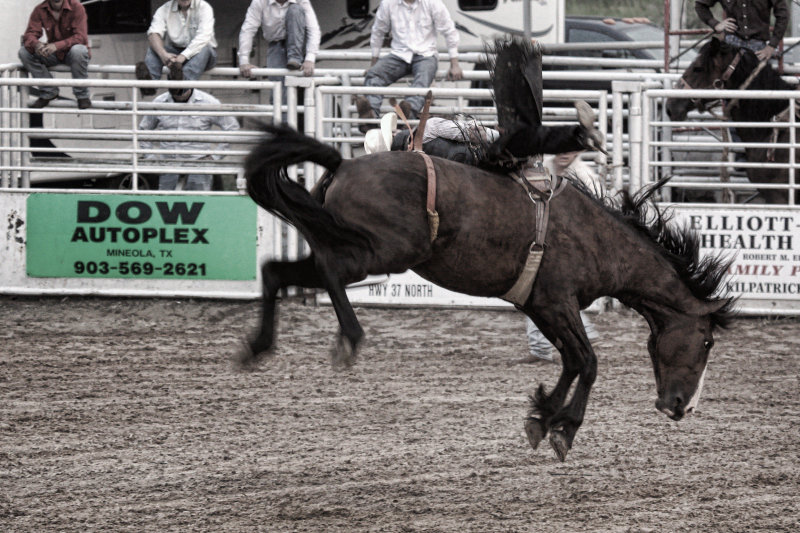 BRONC RIDING