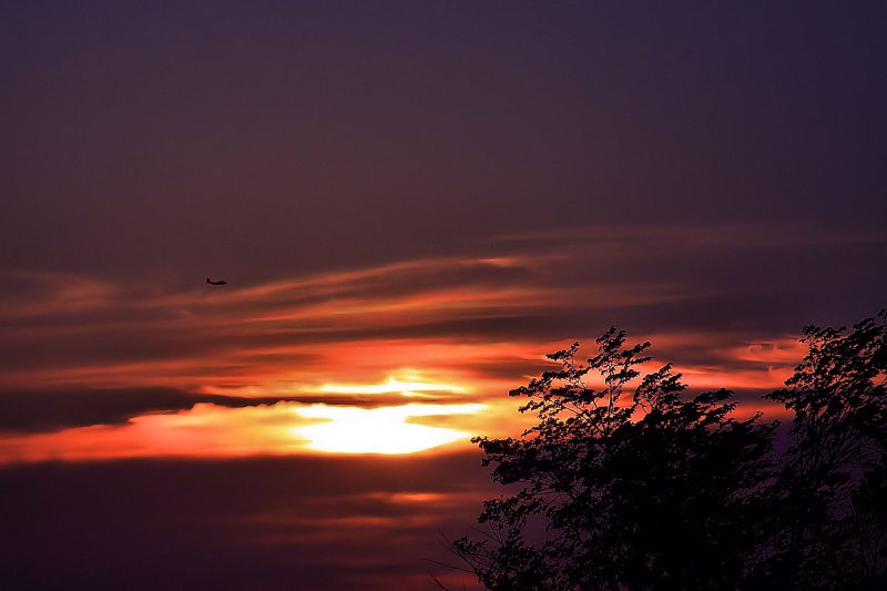 ILL FOLLOW THE SUN