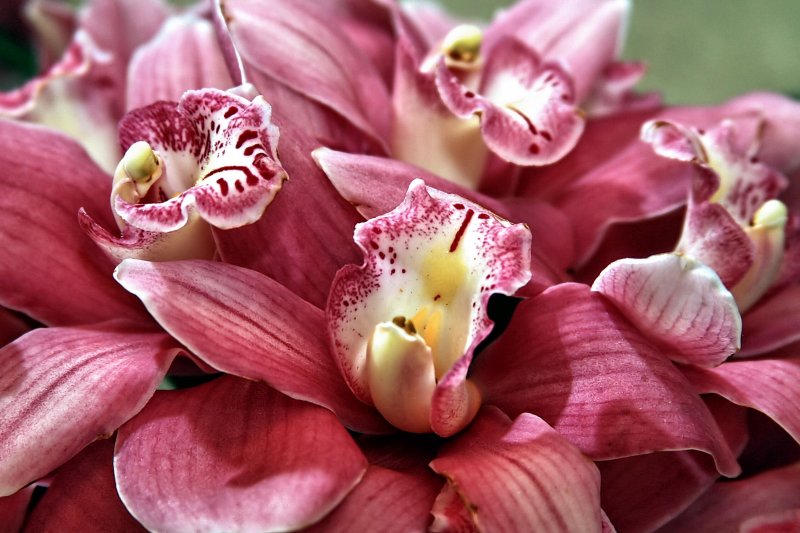 BRIDAL FLOWERS